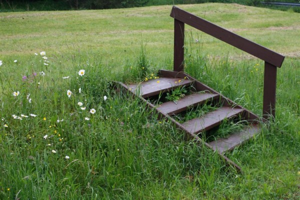 zur grillwiese, vormwald - (c) c duecker.jpg